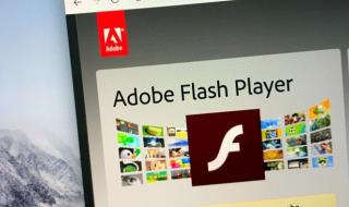 adobeflashplayer8.0