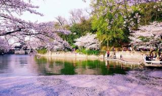 杭州到上海的动车时刻表