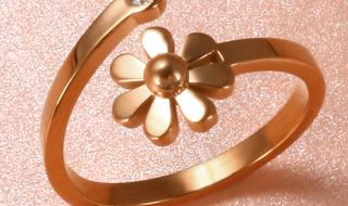 女生的小雏菊长什么样