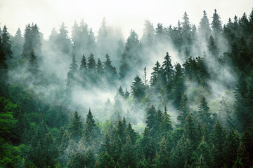 必看教程“东游麻将有挂吗”开挂(透视)辅助教程