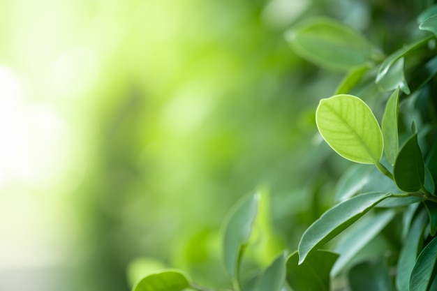 推荐一款“人人互娱有没有挂”(原来确实是有挂)